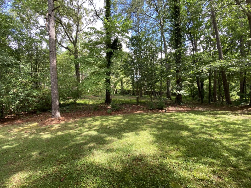 Partial view of back yard.