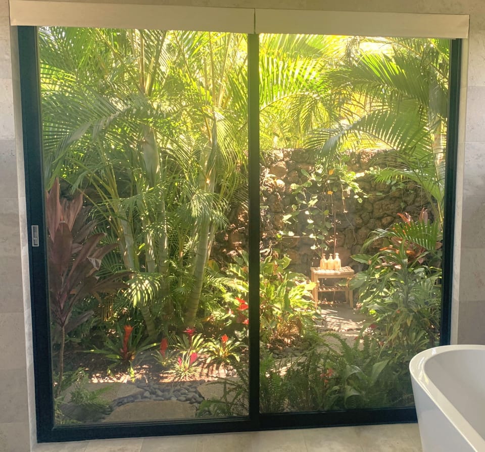 Master bathroom outdoor shower March 2024