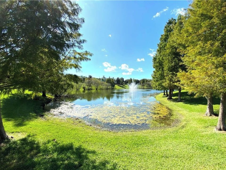 Pond
