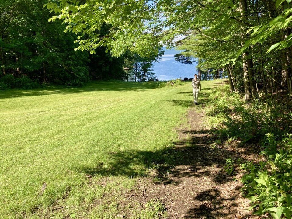 Looking toward lake from in front of house