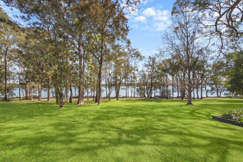 Lawn and lake 