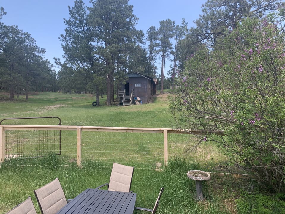 Backyard dining and barn