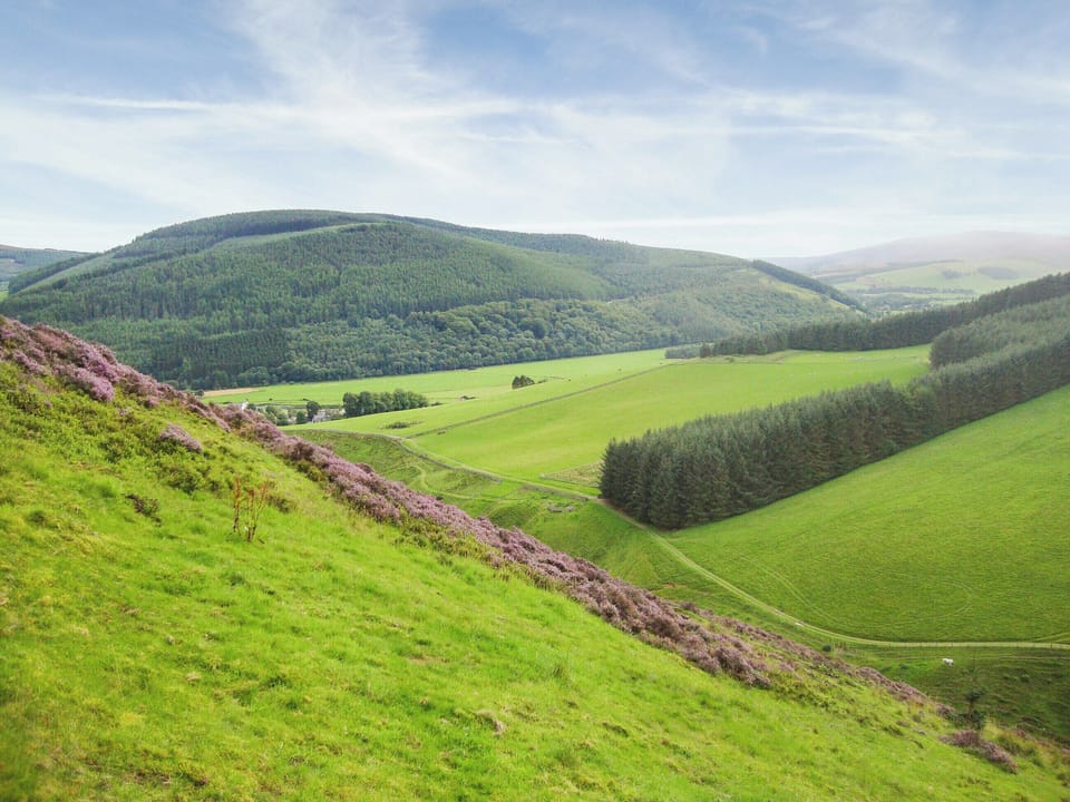 Views around the farm | The Bothy, Walkerburn, near Peebles