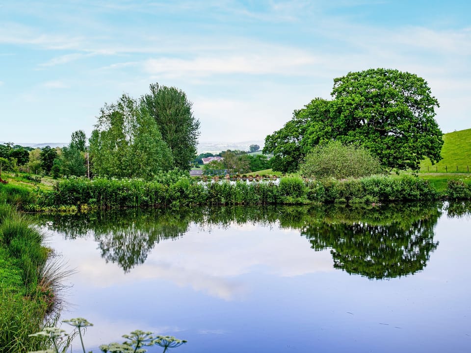 View | Moor Hen Shepherd Hut - Ponsford Ponds, Knowle, near Cullompton
