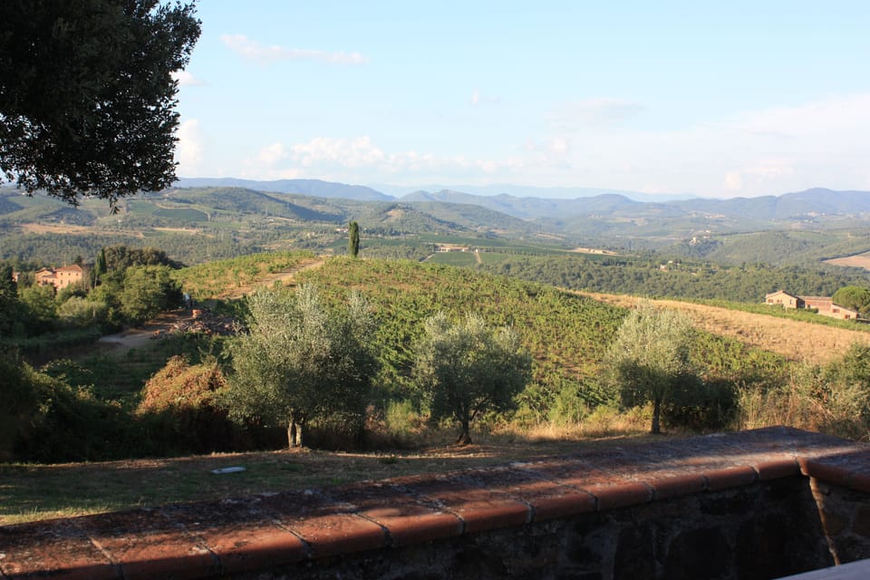 View from property