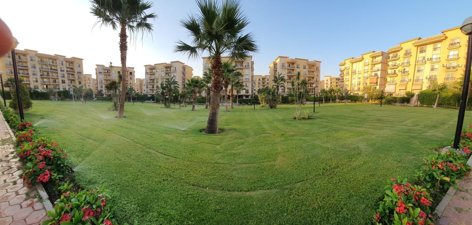 Wide garden right behind the garden