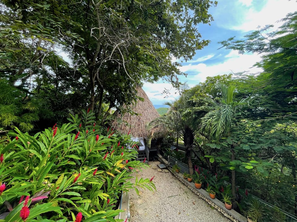 Garden Path to Palapa One 