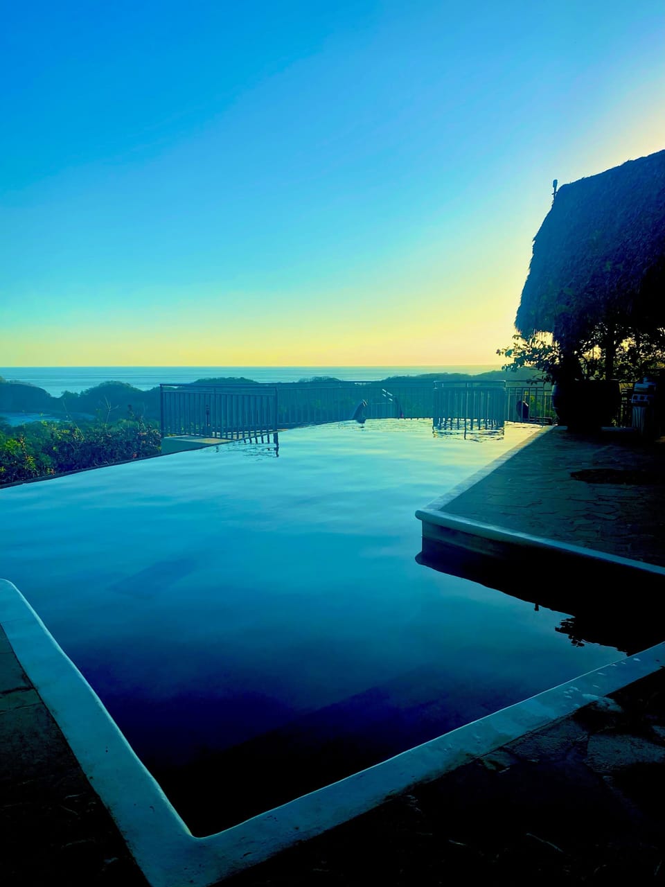 Poolside View