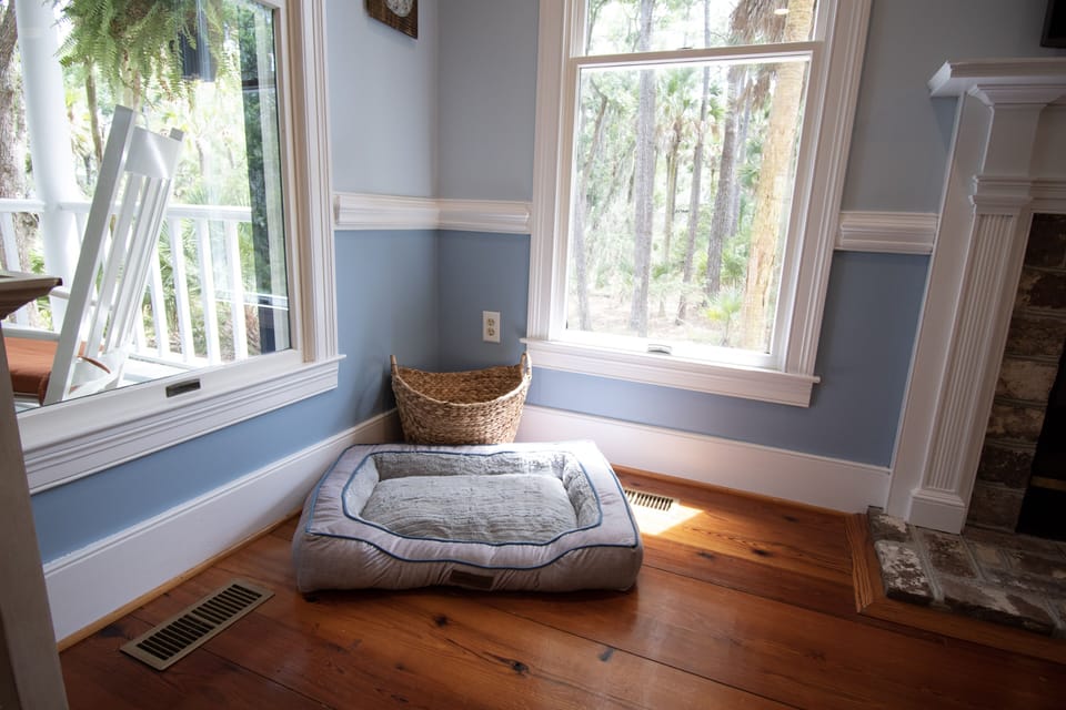 Bring your furry friend!  1 small dog is permitted.