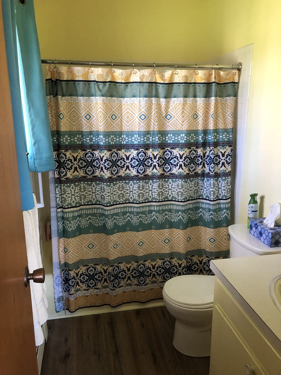 Master bathroom