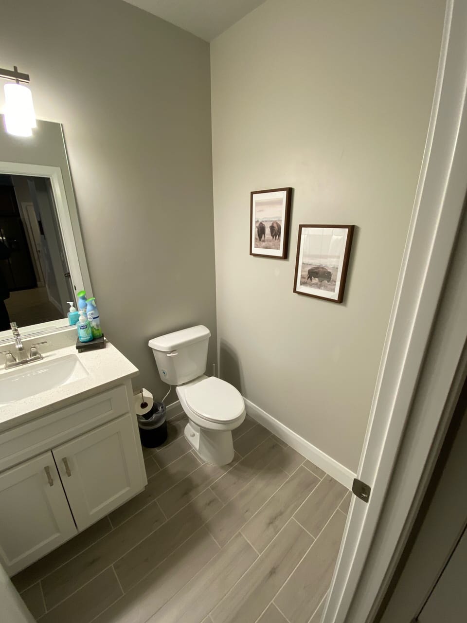 Downstairs 1/2 bathroom 