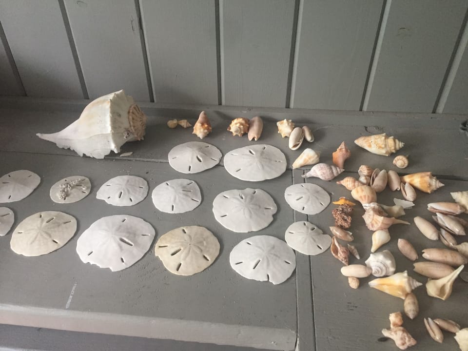 Some days are all sand, and some days are all shells. It's part of the fun!