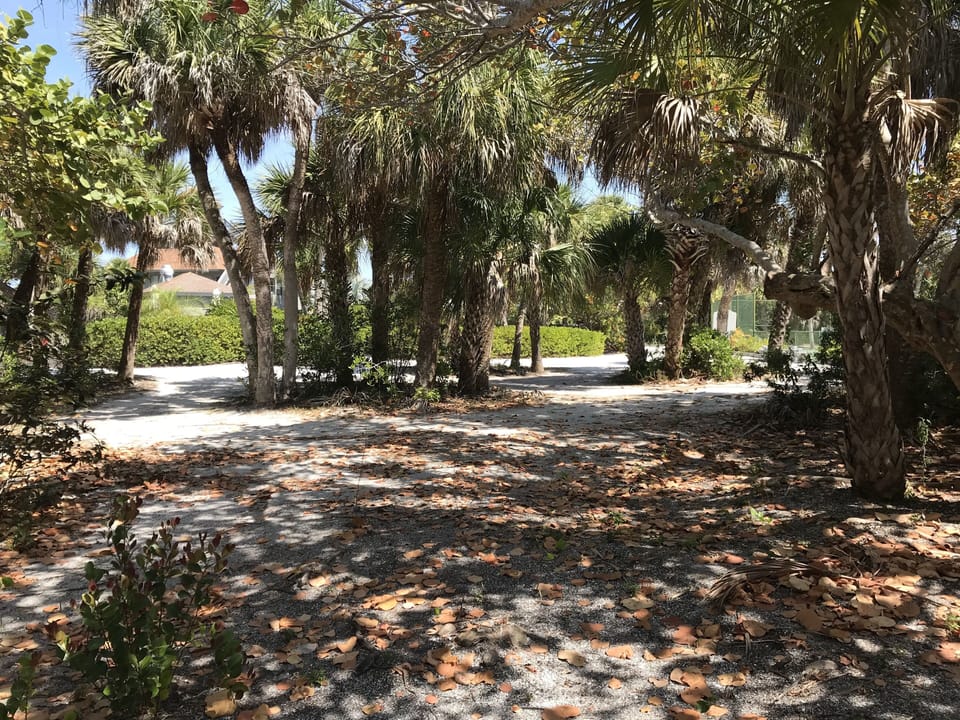 Private setting in the middle of Safety Harbor Club Amenities