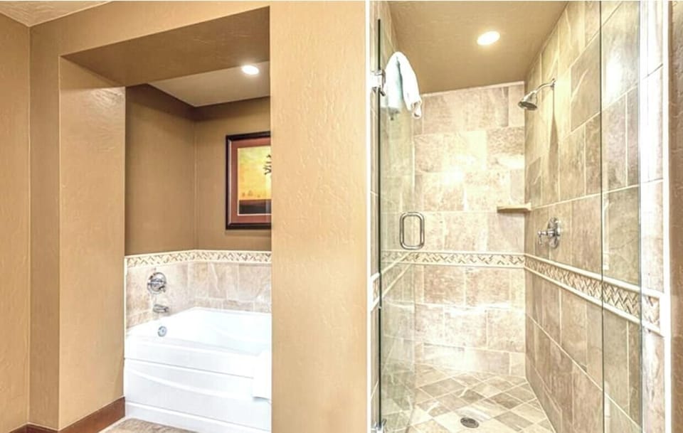 Master Shower/Tub