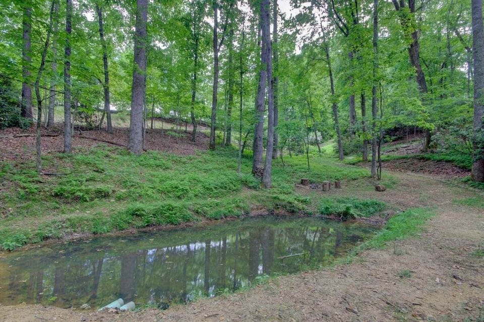 Below the lower patio you will find this lovely pond.
