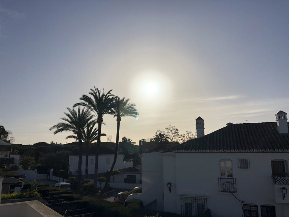 View from apt (sough facing garden)