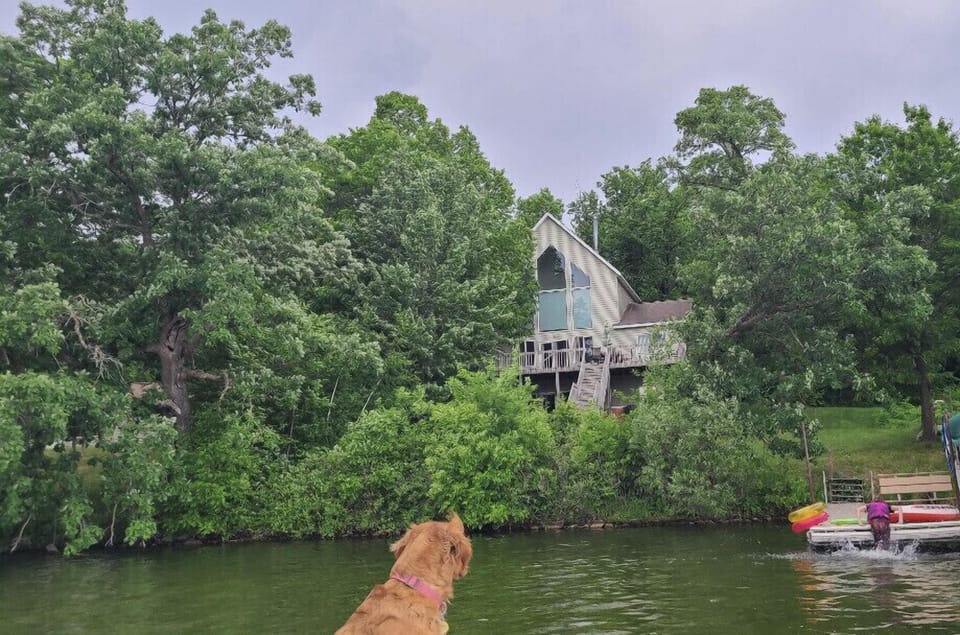 Pet-friendly