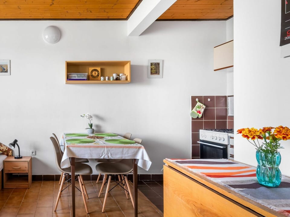 Table, Furniture, Property, Green, Orange, Interior Design, Plant, Wood, Picture Frame, Building