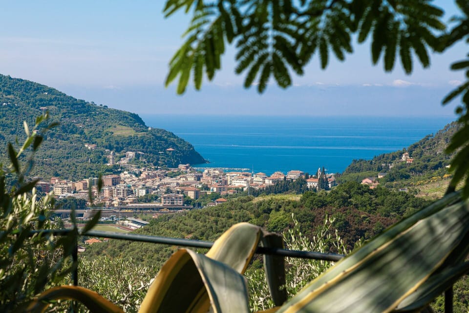 Outdoor, Scenic View