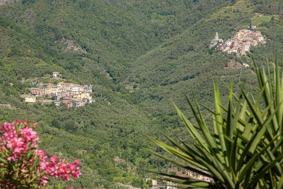 Outdoor, Scenic View