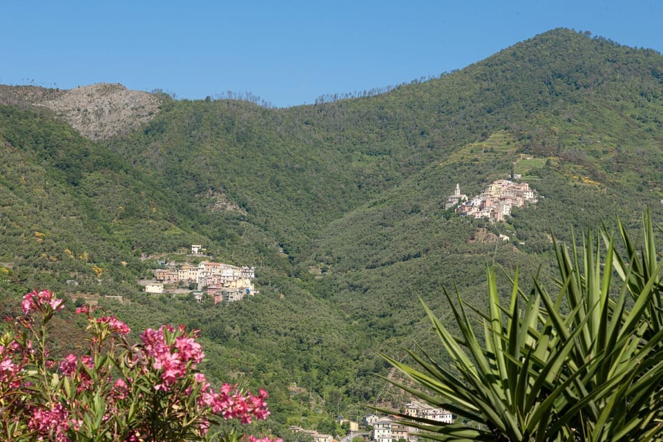 Outdoor, Scenic View