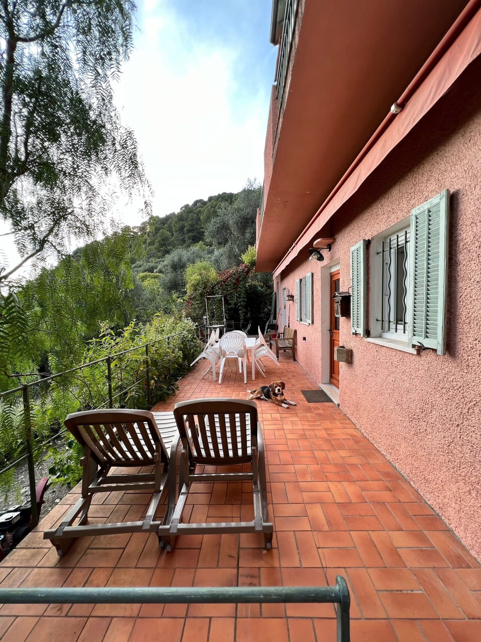 Terrace/patio
