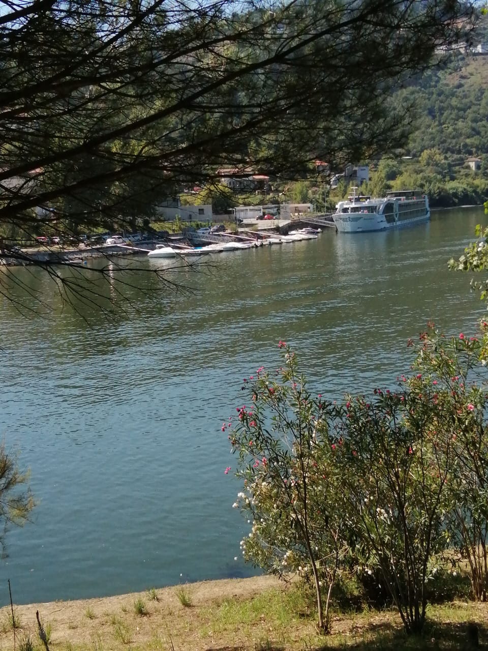 Rio - 6Km da propriedade