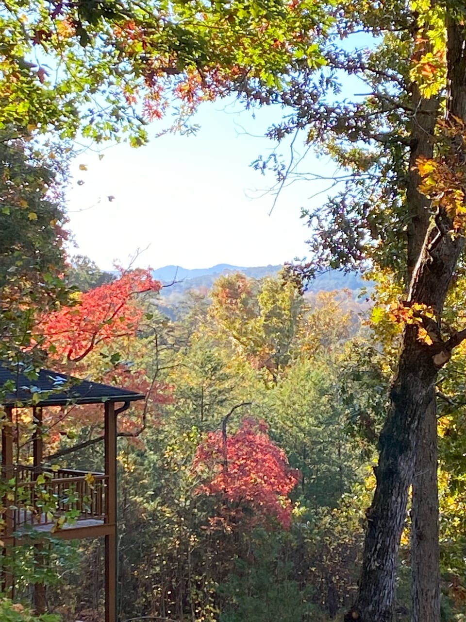 Our NEW view.
