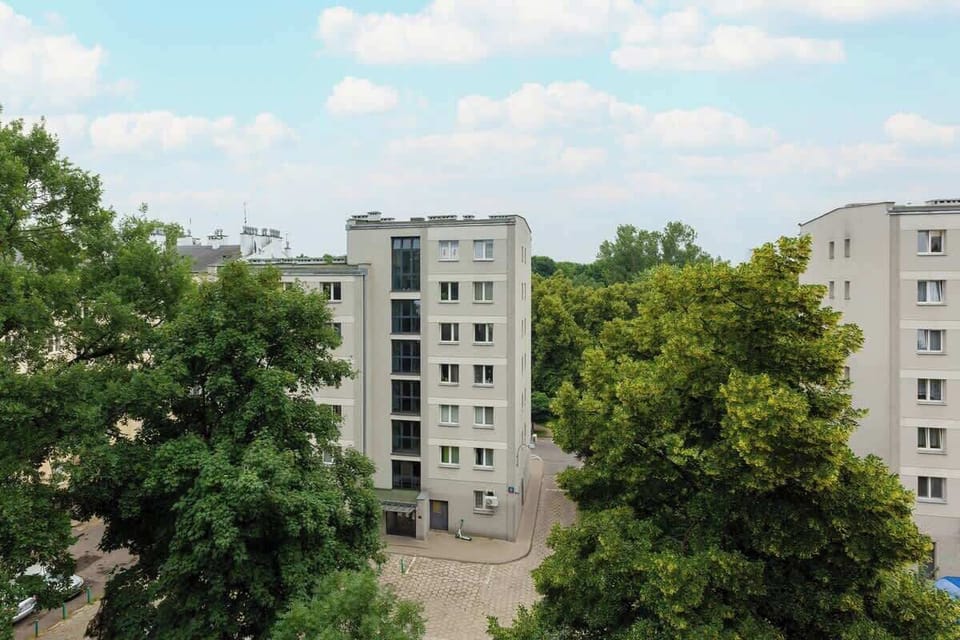 Peaceful view of the surrounding greenery from the window.
