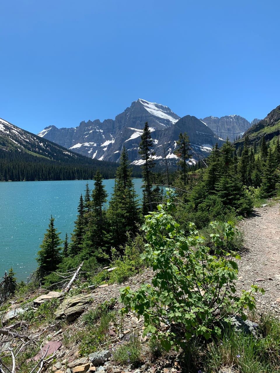 Lake Josephine in Many Glacier