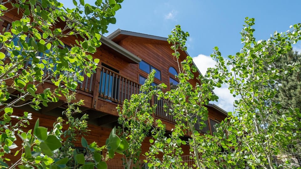 View through Aspens to deck side of home