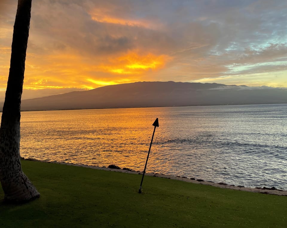 PARADISE AWAITS AND WE'RE SINCERELY HONORED TO HOST YOU.