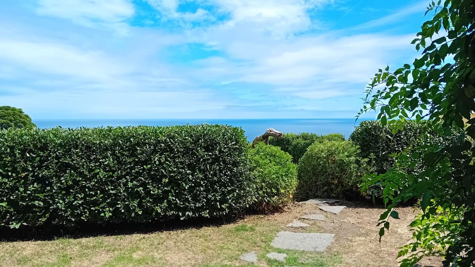 Ocean views - garden view