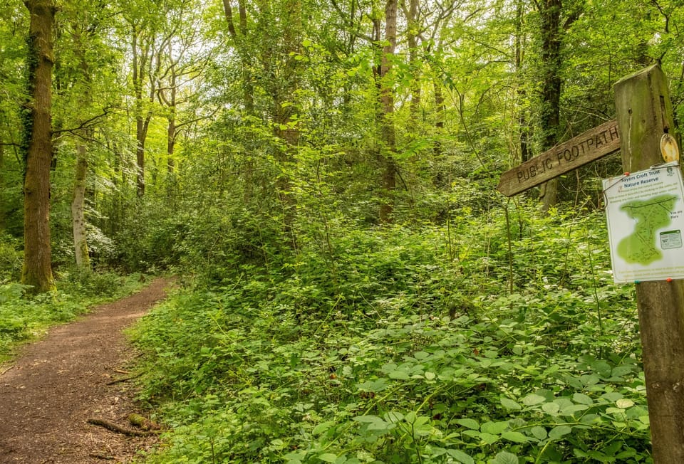 One of the woodland walking trails
