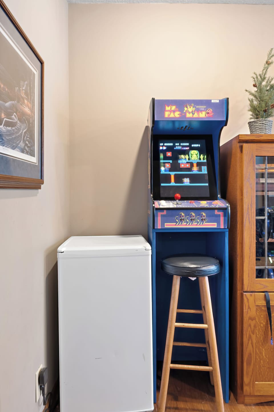 Mini-fridge & Retro Games