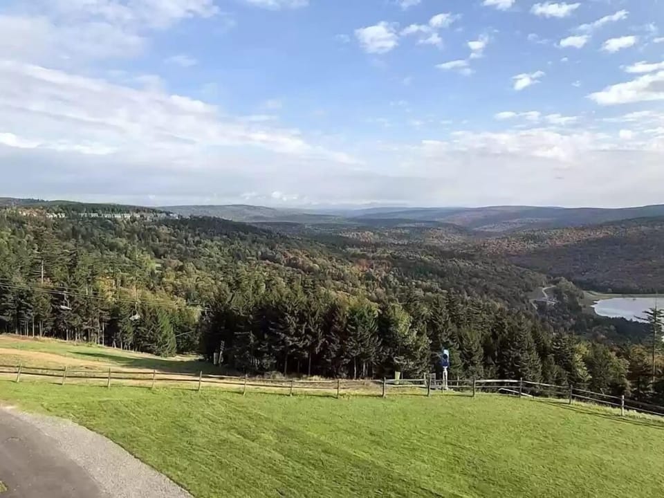 Expansive mountain and forest view