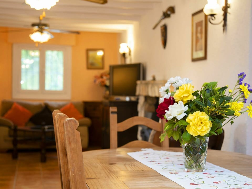 Table, Flower, Furniture, Picture Frame, Plant, Window, Chair, Vase, Building, Lighting