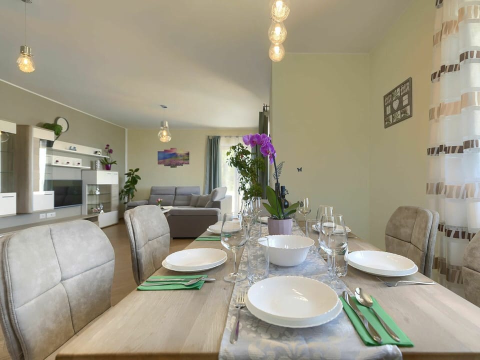 Table, Property, Furniture, Plant, Tableware, Decoration, Green, Interior Design, Chair, Dishware