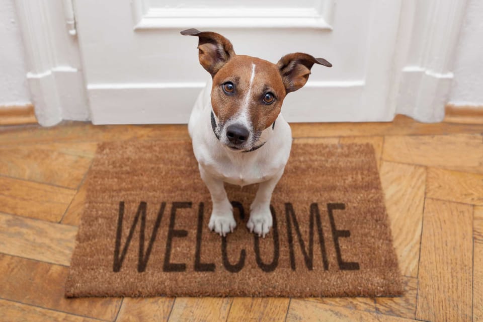 Pet-Friendly property/No restrictions