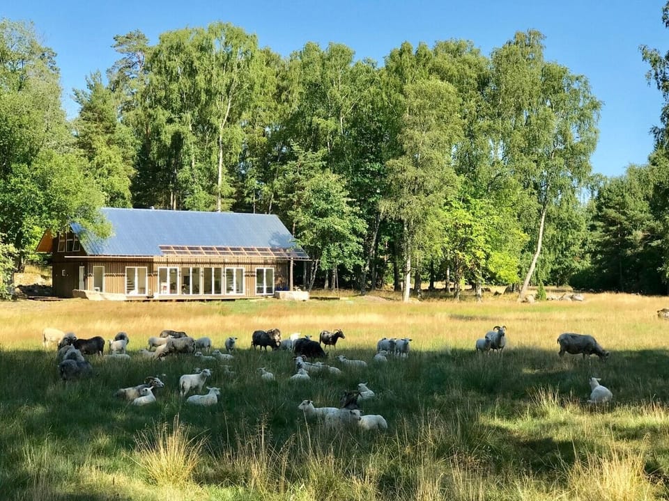 The lakehouse setting in the pastoral landscape.