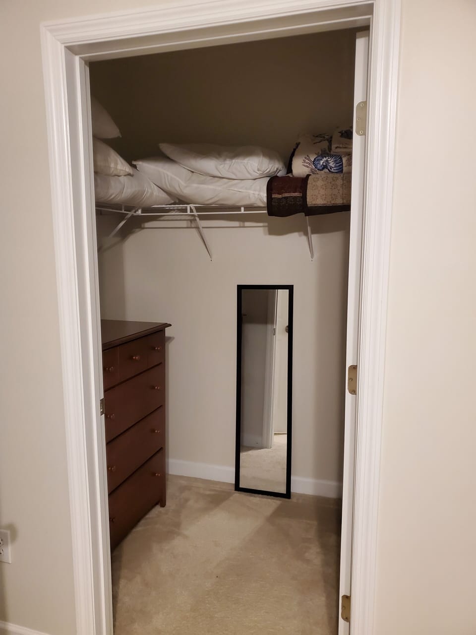 Walk-in Closet in Master