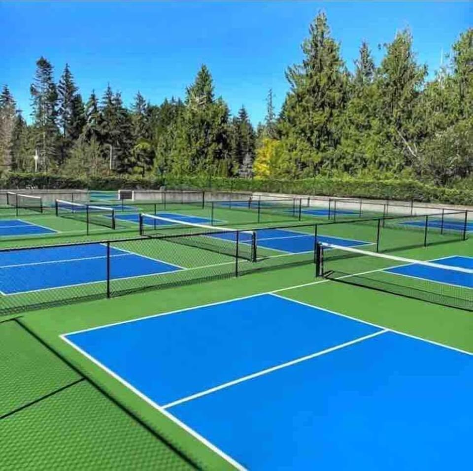 Nine Pickleball courts.