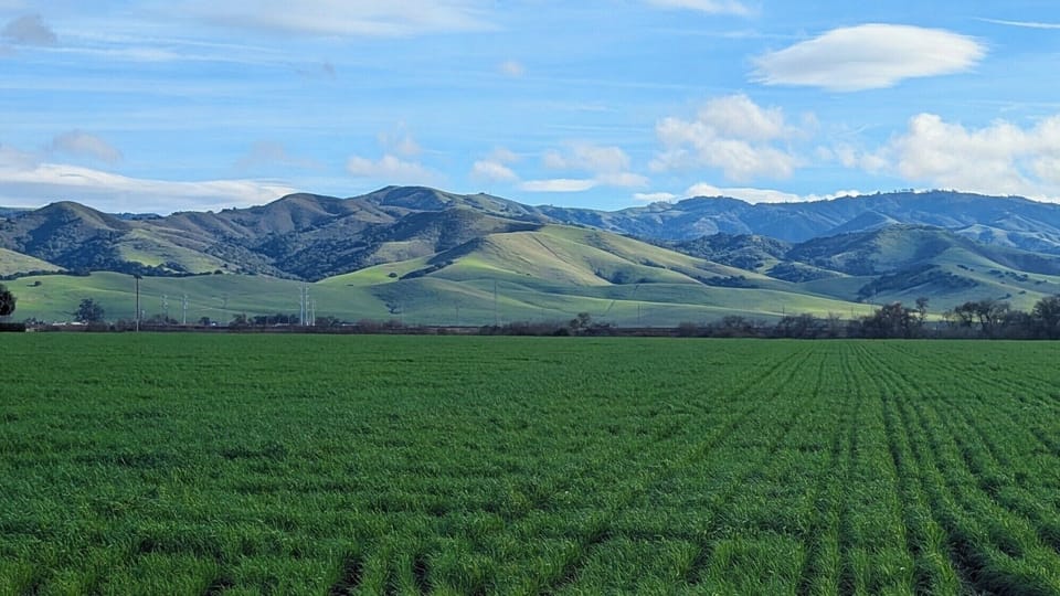 Open countryside and rolling hills near Salinas — less than 4 miles from the house (photo by host)