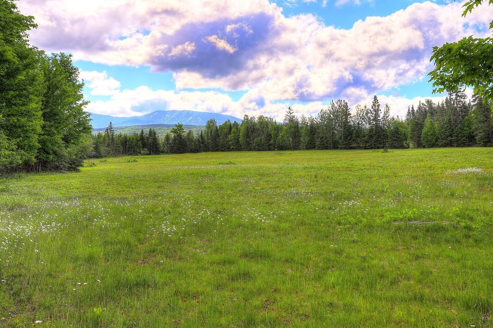 View of Saddleback Mountain!