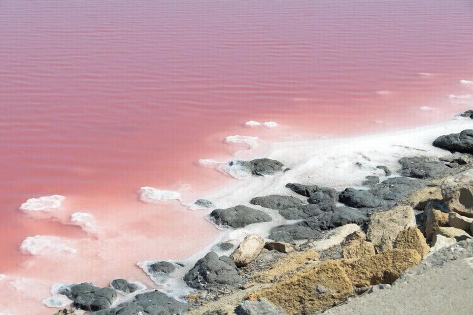 Miscellaneous