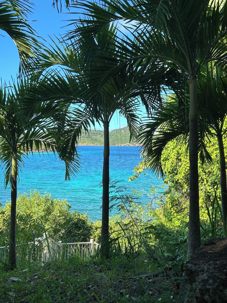 View from property