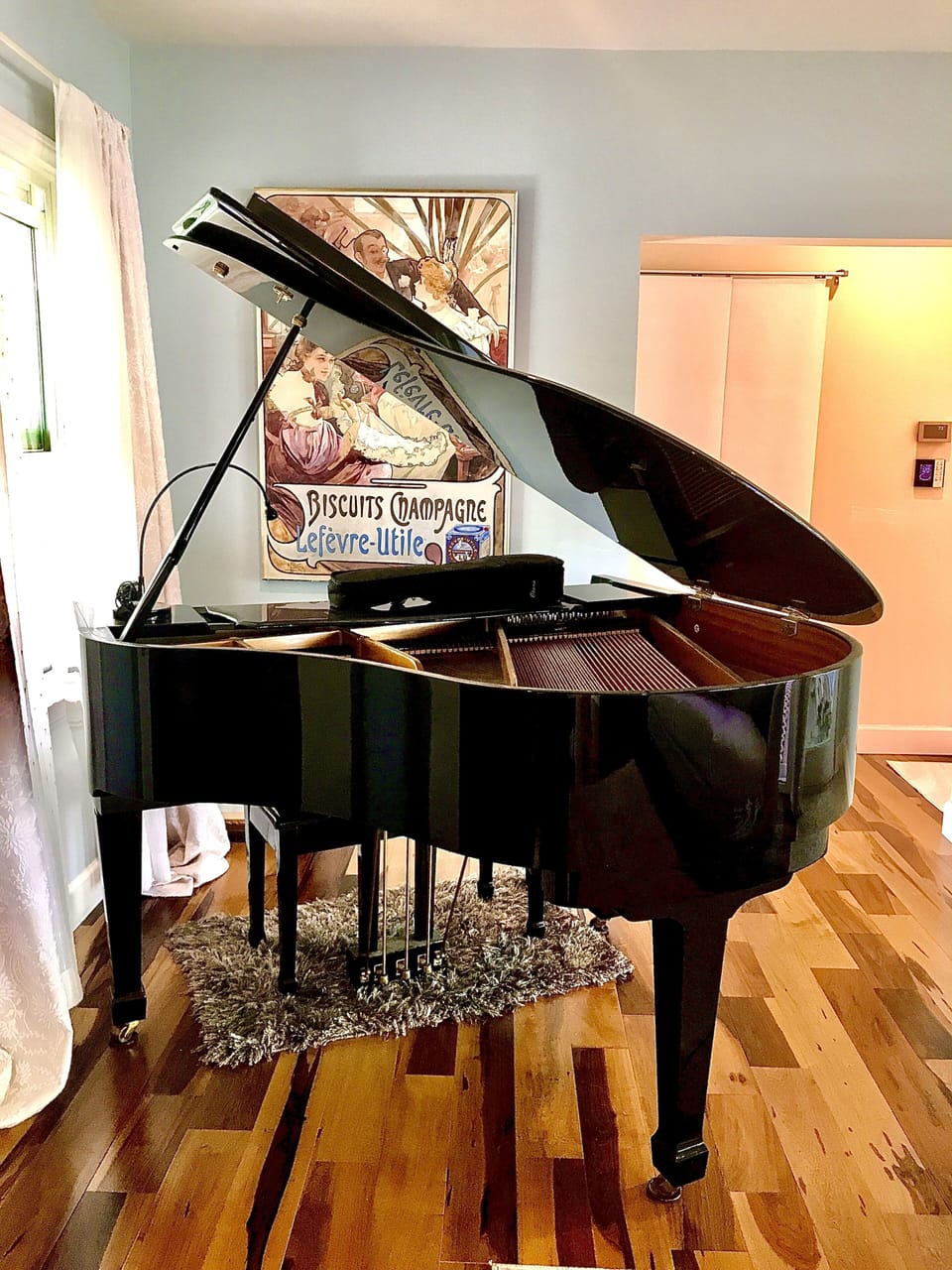 Baby Grand Piano for playing