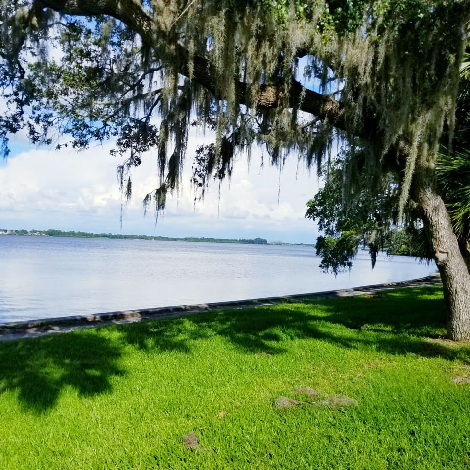View from Philippe Park