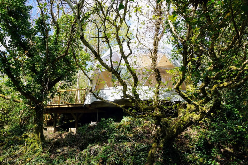 Our Treehouse Dome