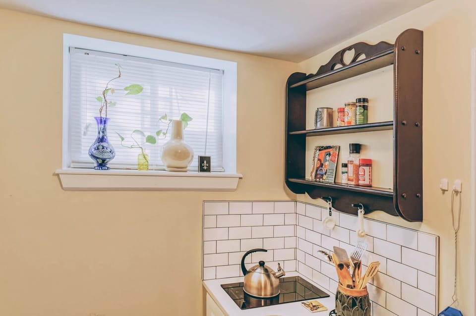 lower level kitchenette view #1